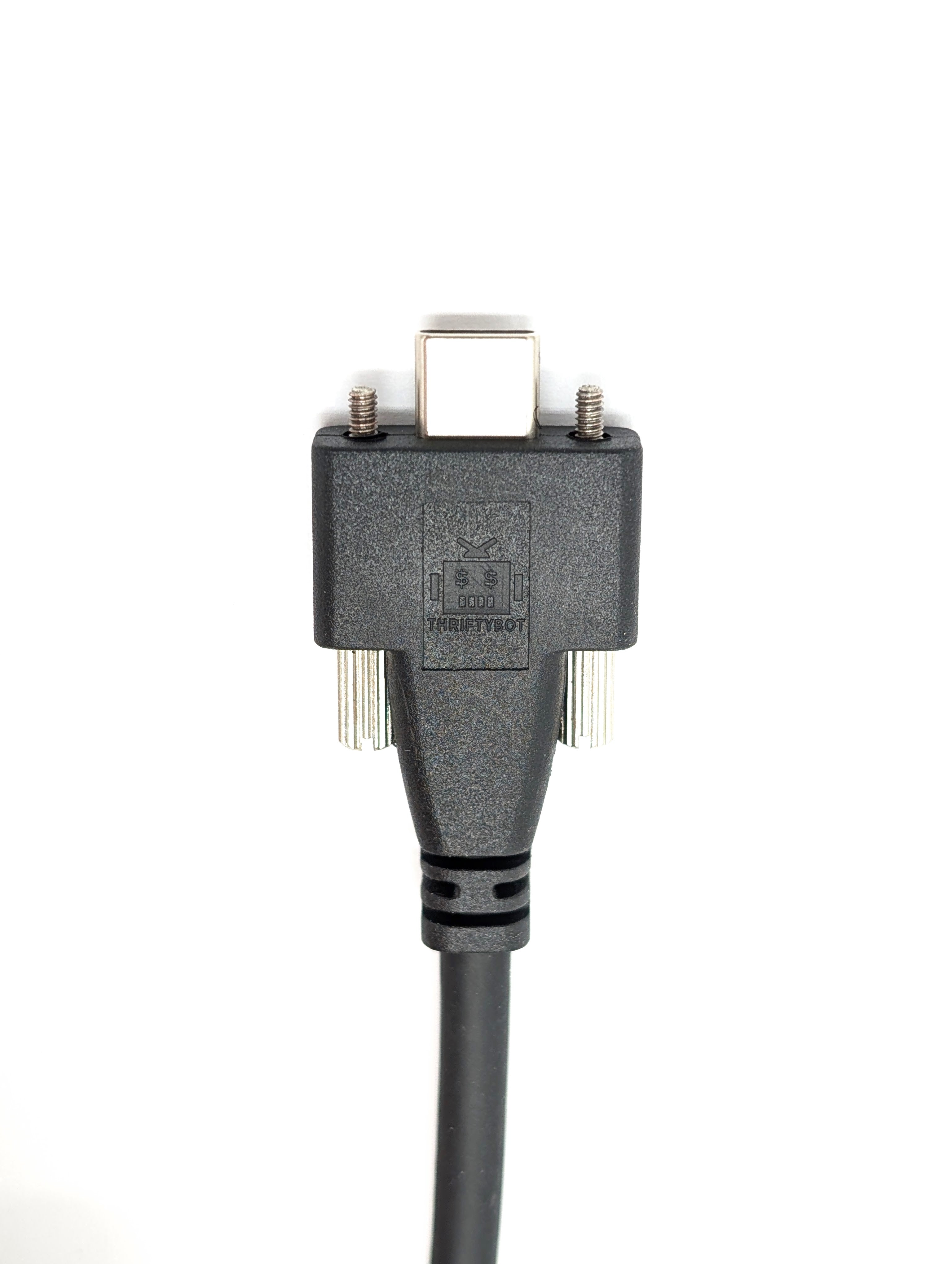 Locking USB 3.1 C-Type Cable